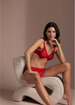 Halo Lace Moulded Bra Equestrian Red