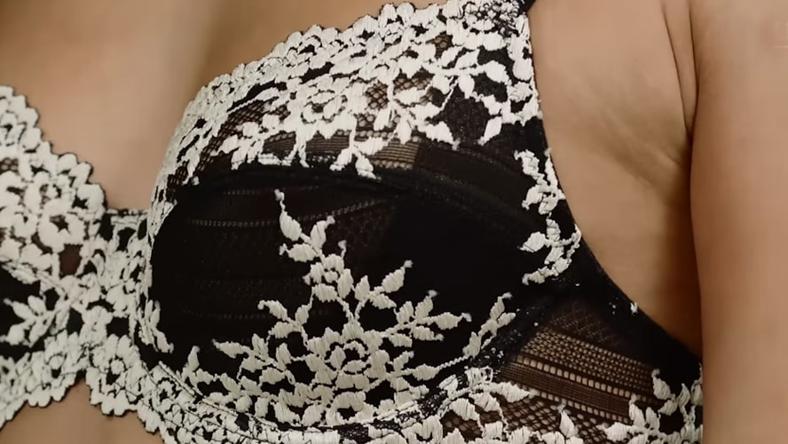 Different Types of Bras How to Choose the Right Bra Wacoal